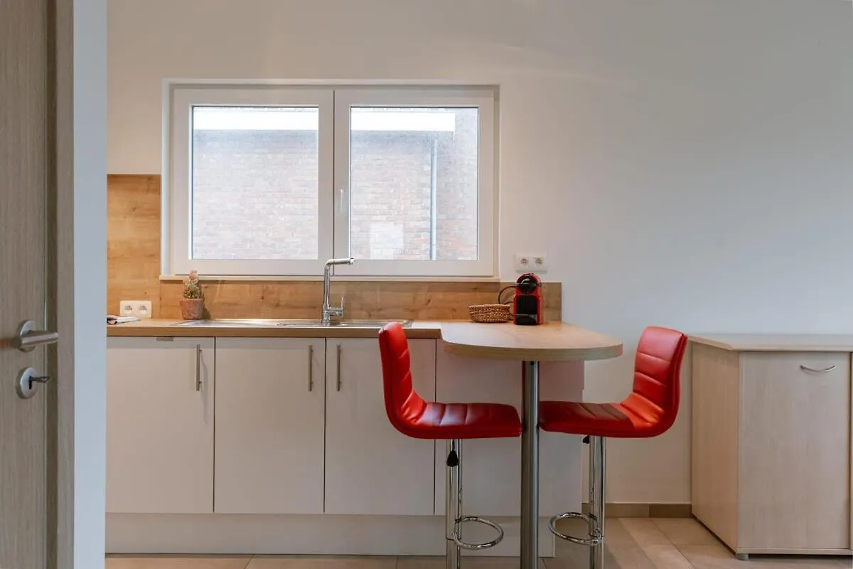 Spacious Getaway Close To The Beach And Airport Villa Ostend